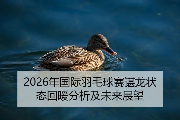2026年国际羽毛球赛谌龙状态回暖分析及未来展望