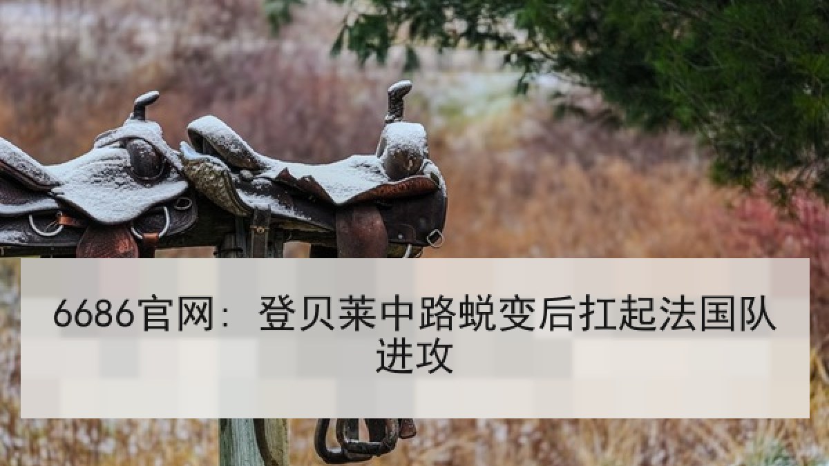 6686官网: 登贝莱中路蜕变后扛起法国队进攻