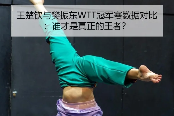 王楚钦与樊振东WTT冠军赛数据对比：谁才是真正的王者？